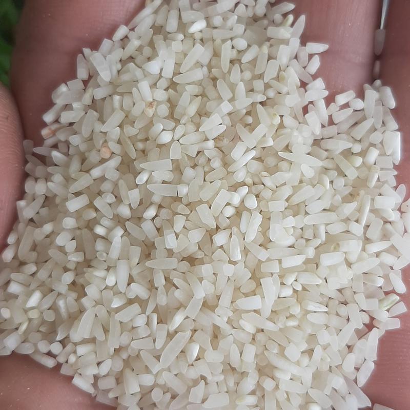 لاشه برنج فجر ایرانی بسته بندی  5 کیلوگرم