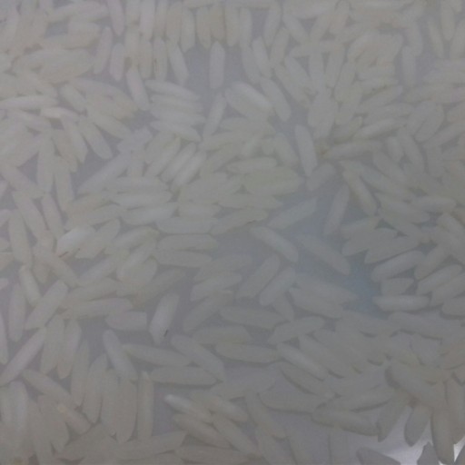 برنج شیرودی مهروان ارسال رایگان ( 5 کیلو گرم)