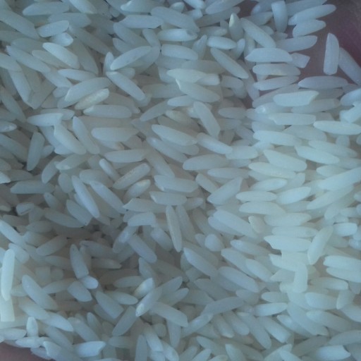 برنج کشت دوم مهروان ( 10کیلو گرمی)
