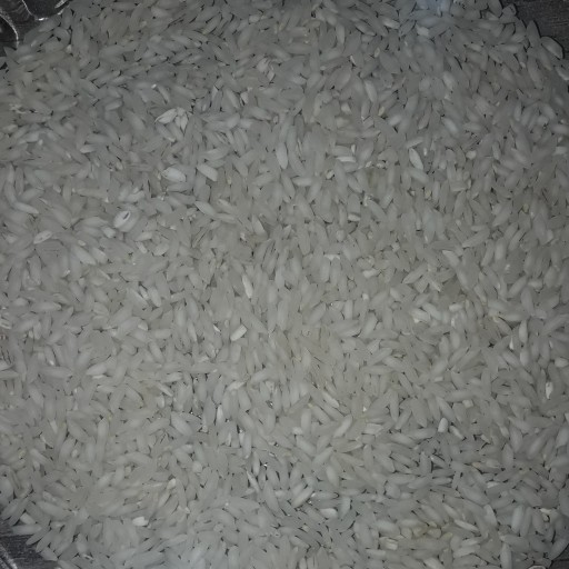 برنج  عنبربو با کیفیت وخوش پخت و معطرو نپسندیدی پس میگیرم.ارسال برای شهرهای دزفول شوش اندیمشک هست