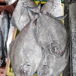 ماهی حلوا سیاه(ارسال رایگان)حداقل مقدار ارسال رایگان 5 کیلو گرم.
حداقل سفارش محصول 3 کیلو.