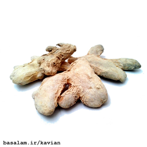 زنجبیل درشت کاویان (50 گرم)