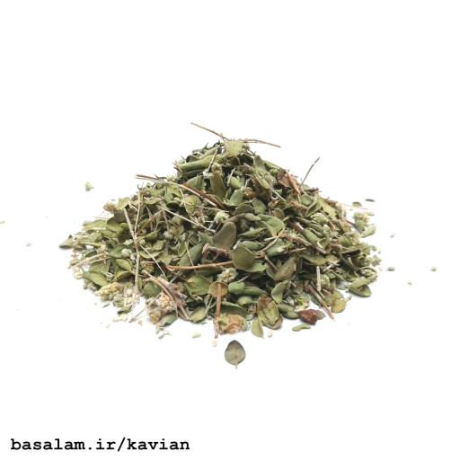 آویشن کاویان (نوع شیرازی) (25 گرم)