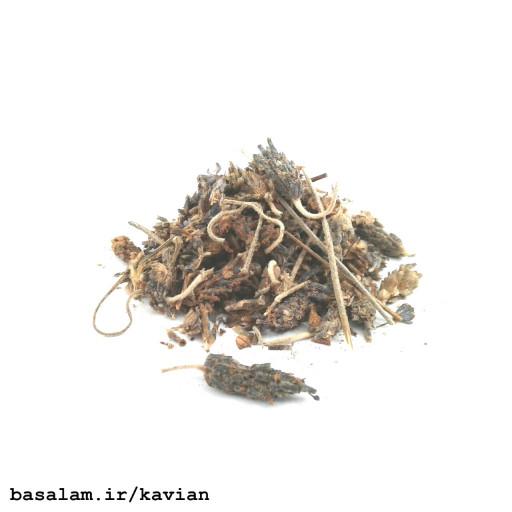 اسطوخودوس کاویان (نوع هندی) (20 گرم)