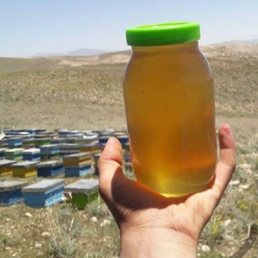 عسل طبیعی یک کیلویی مستقیم از زنبوردار قیمت مناسب