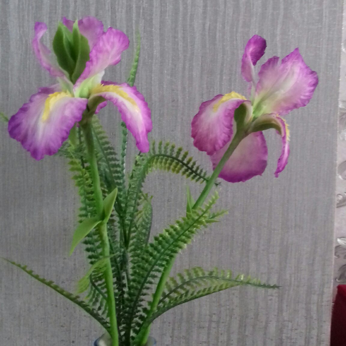 گل زنبق بنفش خمیری (این شاخه برگ ندارد)