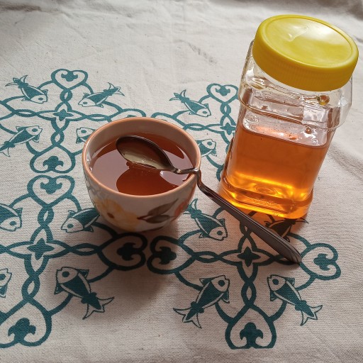 عسل گون دنایی(1کیلو گرم)