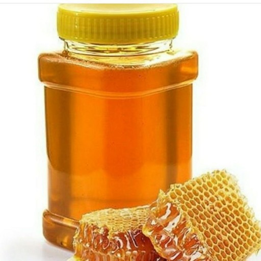 عسل طبیعی و خالص یک کیلویی