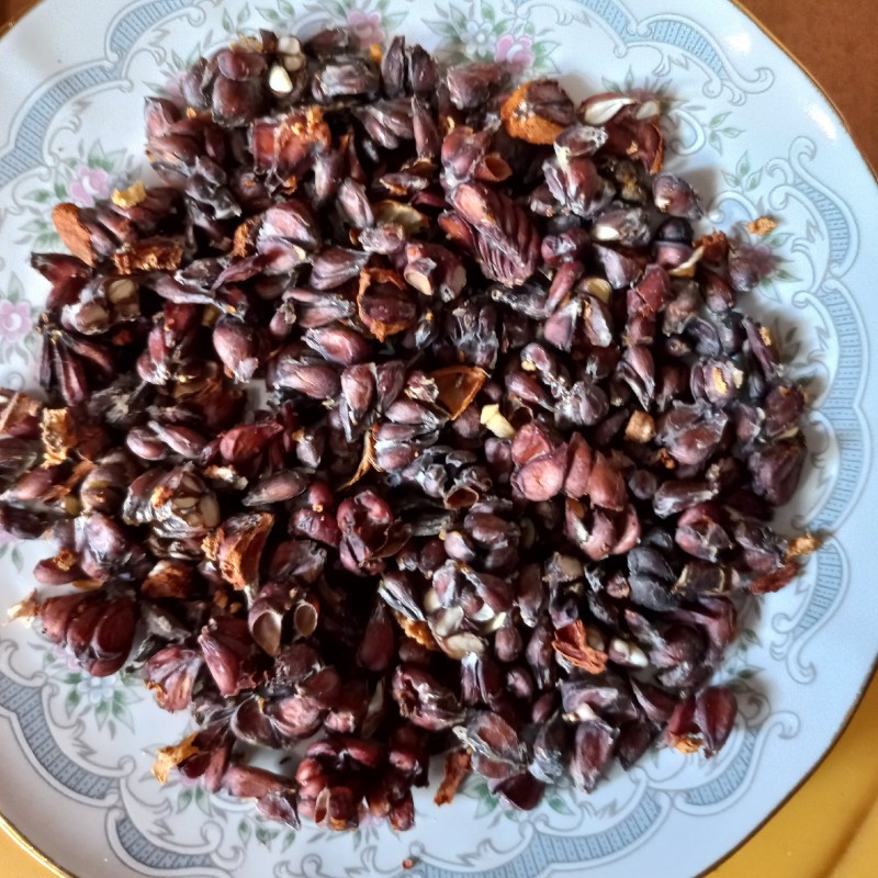 به دانه محلی،تازه و تمیز 30گرمی(دانه به)