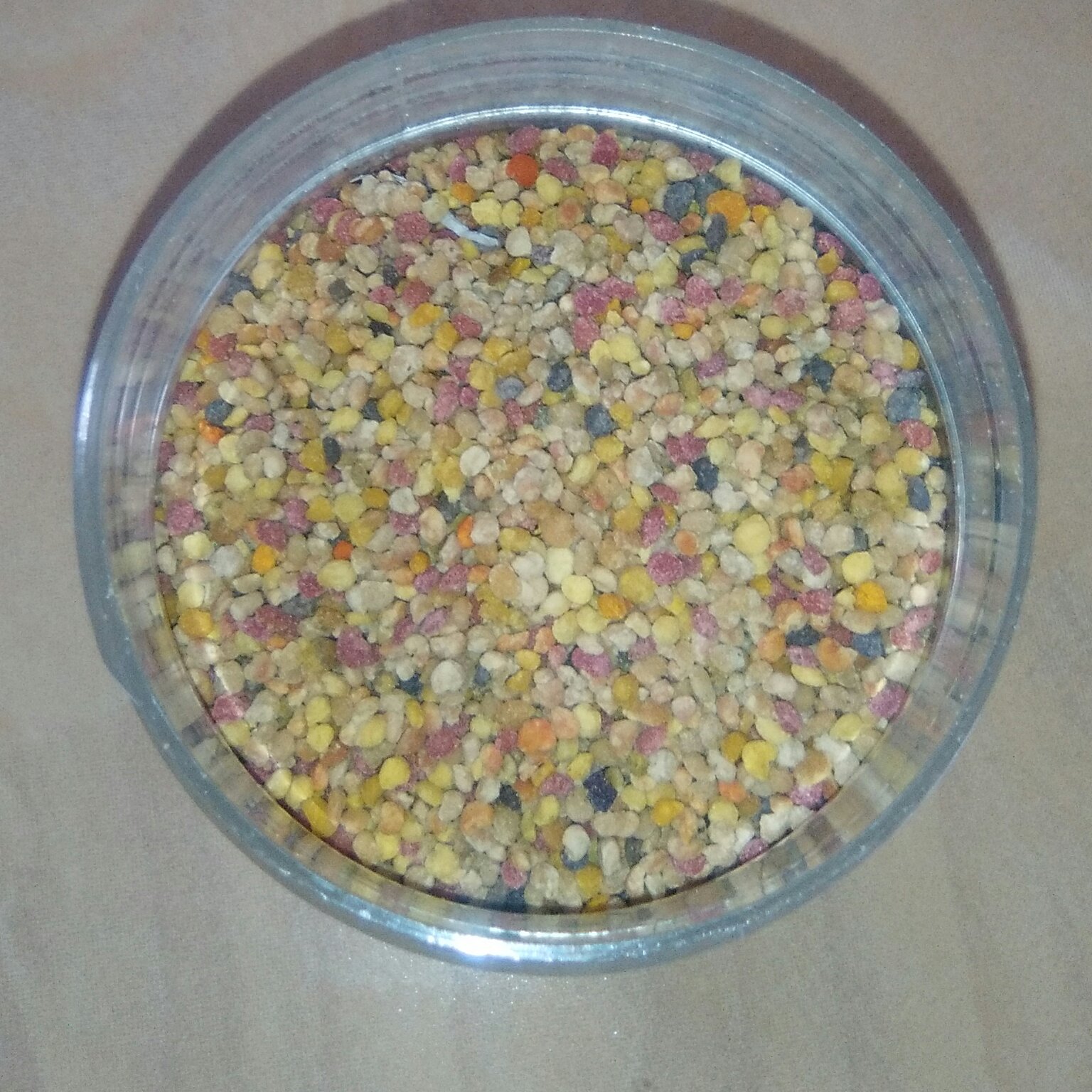 گرده گلهای کوهی و گون ویژه نصرت آباد با خواص اعجاب انگیز