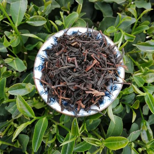 چای قلم چوب دار بهاره 1403 قیصر (800 گرم)