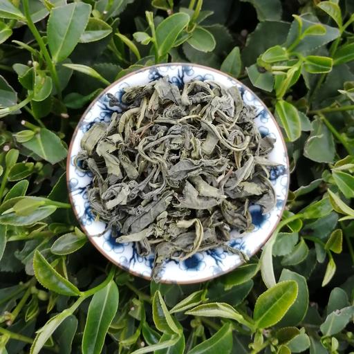 چای سبز قلم بهاره قیصر 1402 (500 گرم)