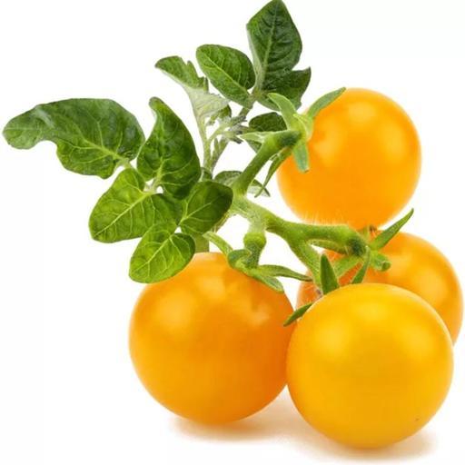 بذر گوجه فرنگی زرد پرتقالی خوشه ای پوندروسا بسته 30 عددی
