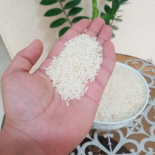 برنج هاشمی اعلاء سفارشی امساله آستانه اشرفیه (10 کیلوگرم)
