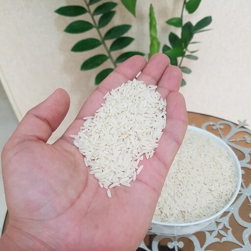 برنج هاشمی اعلاء سفارشی امساله  آستانه اشرفیه(5 کیلوگرم)