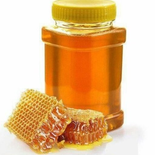 عسل طبیعی کوهستان وزن نیم کیلویی برند نیک گل بالای 10 کیلو ارسال رایگان