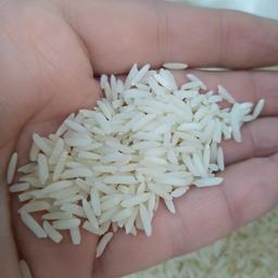 برنج صدری هاشمی اعلا 10 کیلویی
