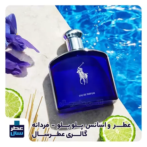 عطر پلو بلو در حجم اسپری 5.5 میل ممتاز یا رولی 4 میل (اسانس خالص پلو بلو کیفیت ممتاز) (توضیحات ملاحظه شود) 