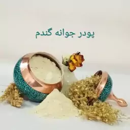 پودر جوانه گندم 