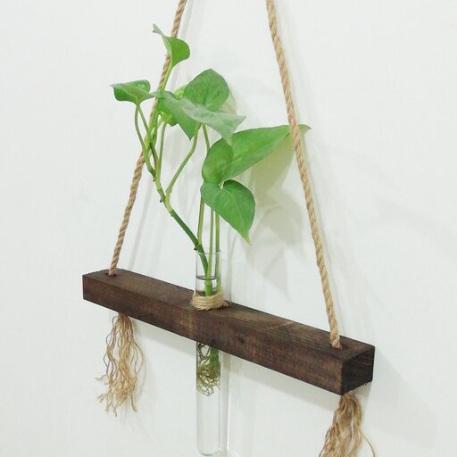 شلف چوبی با آویز کنفی همراه با لوله شیشه ای بزرگ با قابلیت رشد گیاه زنده طرح ژینوس