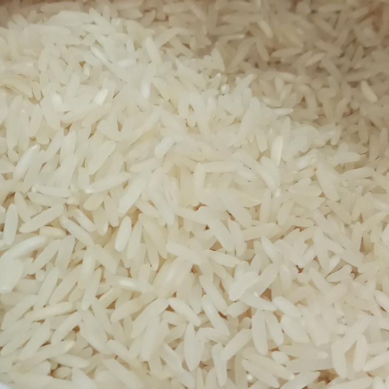 برنج گلستان فجر 