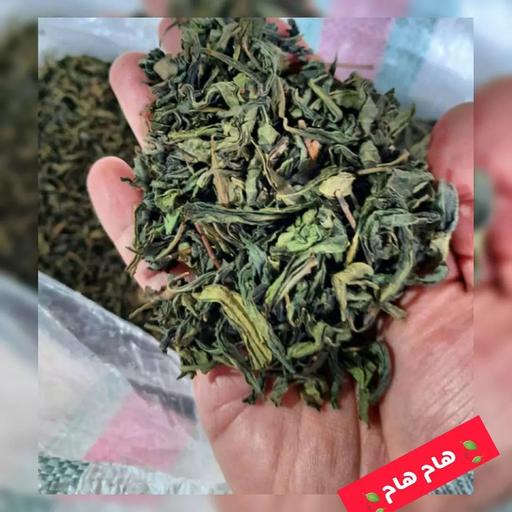 چای سبز قلم ایرانی و ارگانیک بسته 1 کیلویی