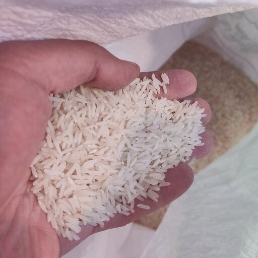 برنج دمسیاه با خرید هر 100 کیلو به بالا از ارسال رایگان برای تهران بهره مند شوید