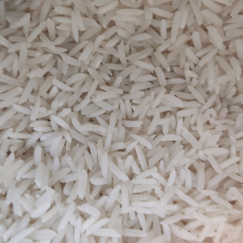 برنج فجر هر صد کیلو یک اشانتیون و ارسال رایگان