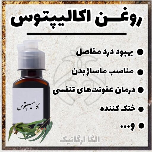 روغن اکالیپتوس خالص اُلگا (بهبود درد مفاصل، خنک کننده،روغن ماساژ پوست) 