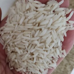 برنج هاشمی فوق اعلا بابل( 10 کیلویی) 
