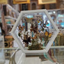 تابلو سه بعدی مدل پروانه قطر 34 سانت
