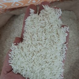 برنج فریدون کنار    درجه یک  (ارسال رایگان سراسر کشور ) 