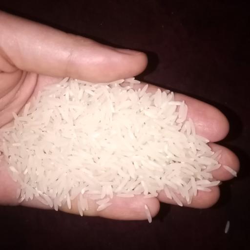 برنج فجر معطر و دانه بلند با ری عالی مقدار کاملا محدود به عنوان نمونه 