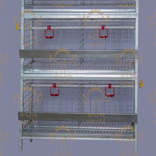 قفس سه طبقه مرغ (گروه تولیدی صنعتی آشیونه)