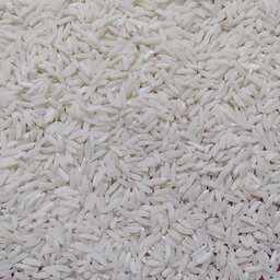 برنج علی هاشمی طارم