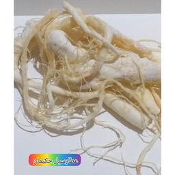 جینسینگ سفید ریشه دار (100گرمی) 