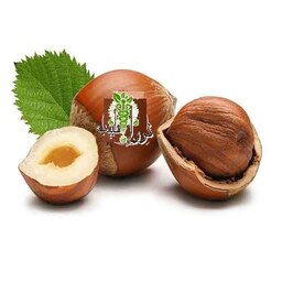 روغن فندق (30 سی سی)