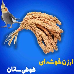 ارزن خوشه ای تشویقی پرنده 