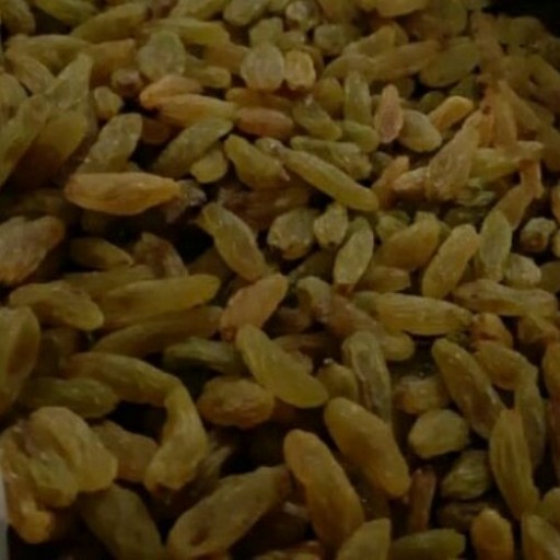 کشمش سبز درجه 1 معمولی صد درصد طبیعی و ارگانیک محصول باغات انگور عسکری شهرستانهای کاشمر، بردسکن، خلیل آباد