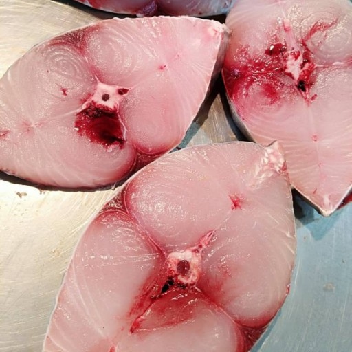 ماهی شیر بوشهر 5کیلویی