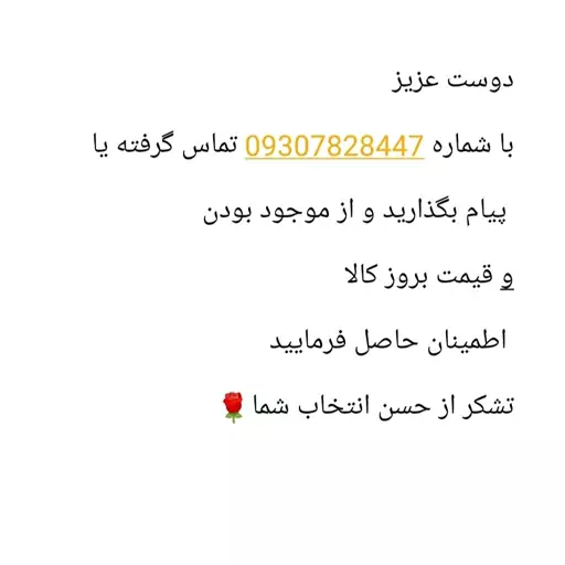 اتو بخار ایستاده جی پاس مدل GGS25033