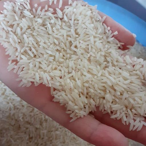 برنج هاشمی گیلان معطر برادران پولادی در بسته های 10 کیلویی و 20 کیلویی و 50 کیلویی 