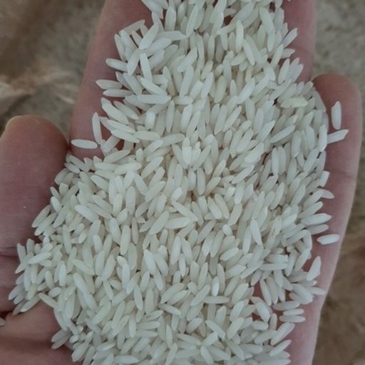 برنج طارم هاشمی کشت اول (10 کیلویی)