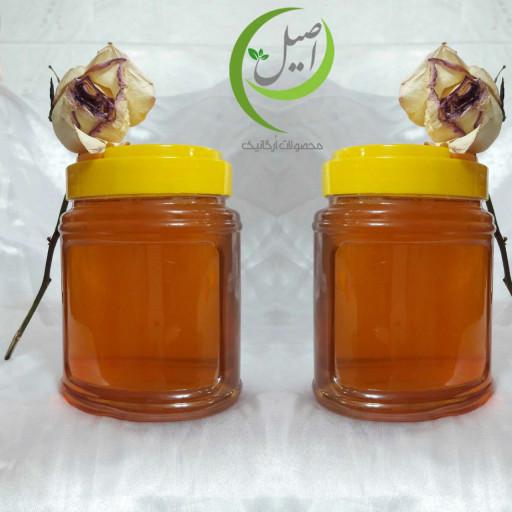 عسل روزانه یک کیلوگرم