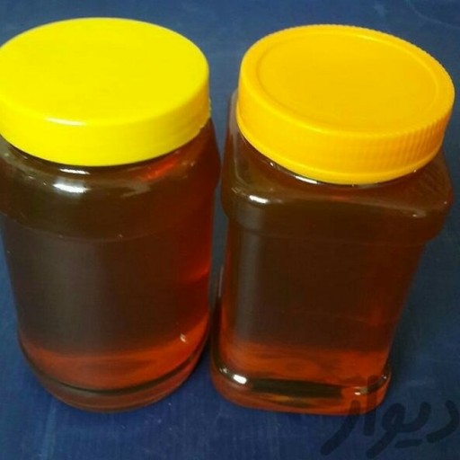 عسل طبیعی و سالم 1 کیلویی