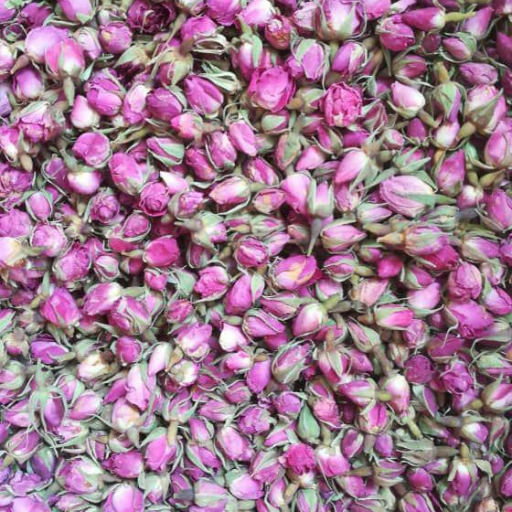 غنچه گل محمدی آویسا(50 گرمی)