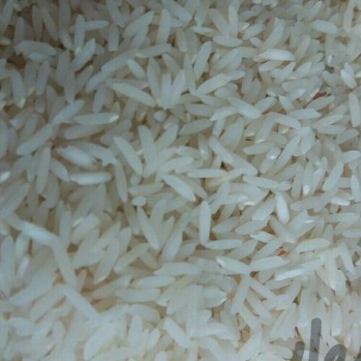 برنج هاشمی ممتازصادراتی