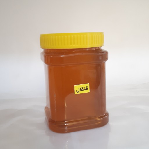 عسل قنقال طبیعی برکت ( عسل شکر تیغال )