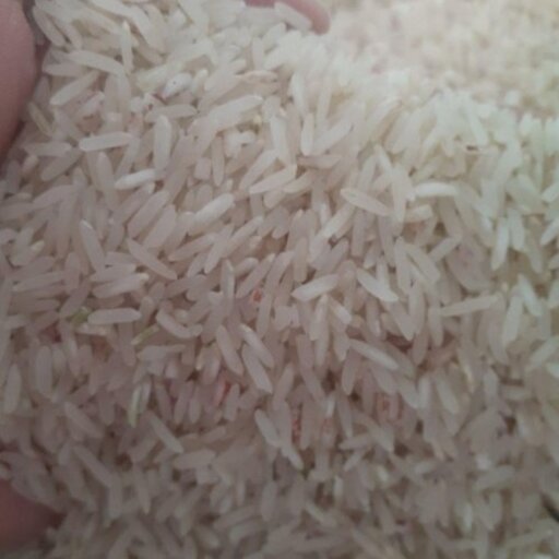 برنج فجر  درجه یک ممسنی