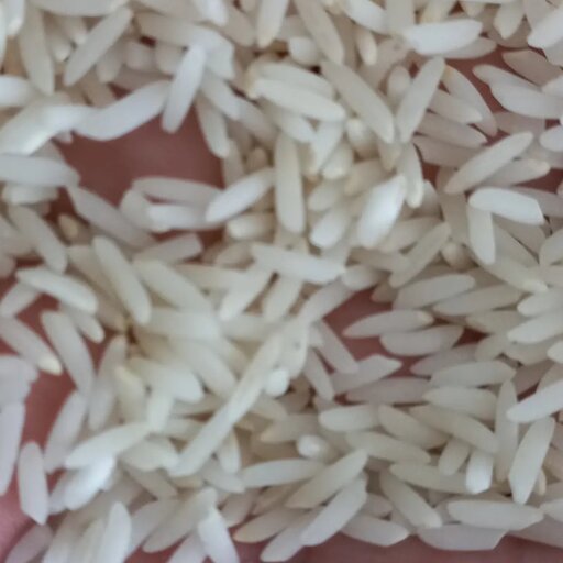 برنج دم سیاه گلستان 20 کیلویی